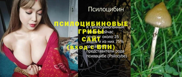 крисы Волоколамск