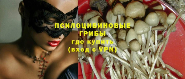 крисы Волоколамск
