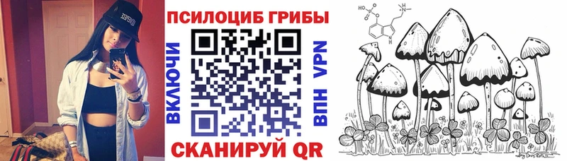 Псилоцибиновые грибы мухоморы  Купить где  Кирсанов 
