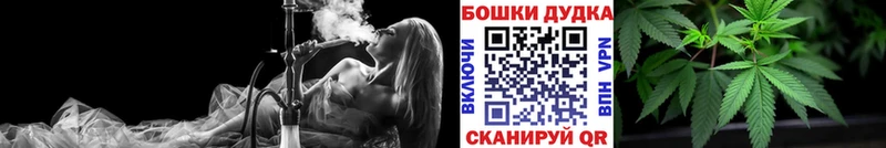 Купить где  Кирсанов  Бошки Шишки ГИДРОПОН 